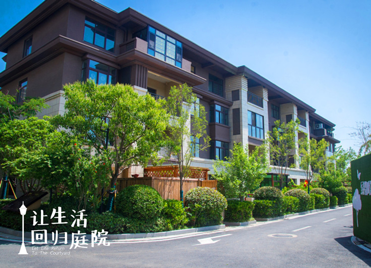 前后张望南阳50年：这样的天井，很难再有了！