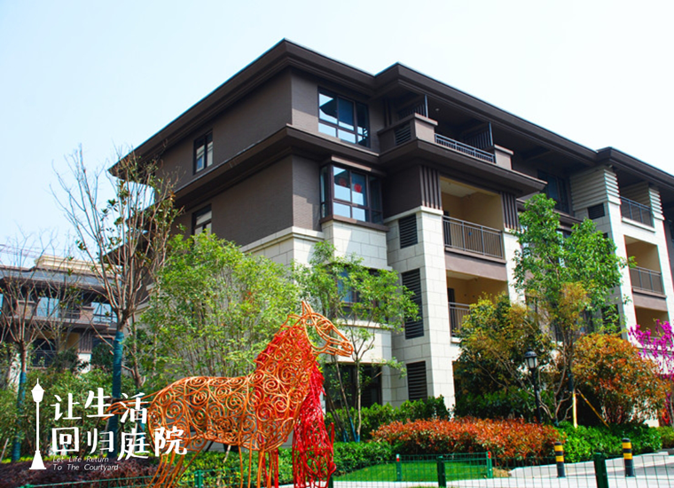 前后张望南阳50年：这样的天井，很难再有了！