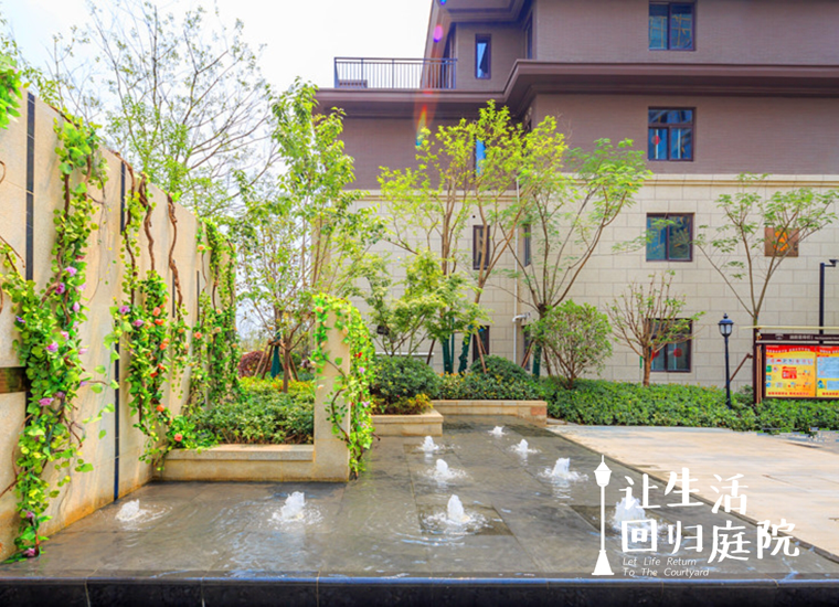 前后张望南阳50年：这样的天井，很难再有了！