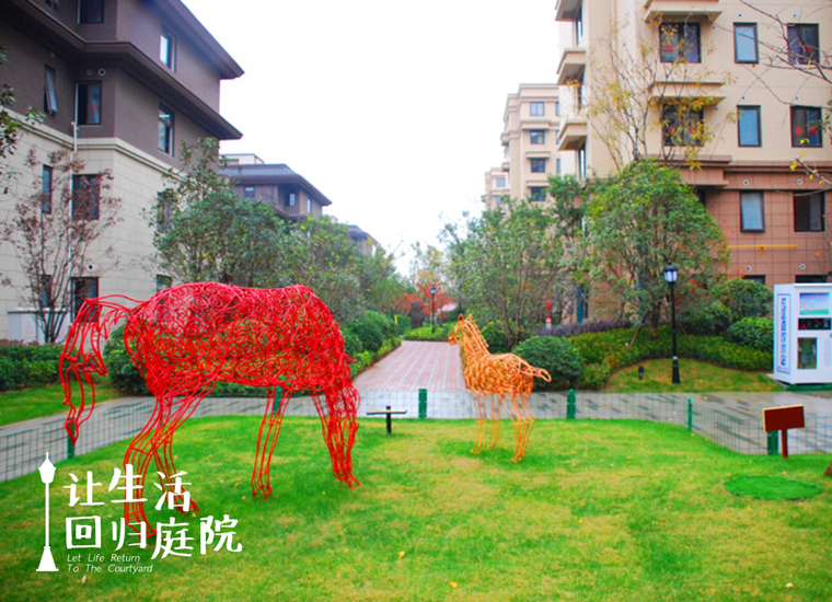 前后张望南阳50年：这样的天井，很难再有了！