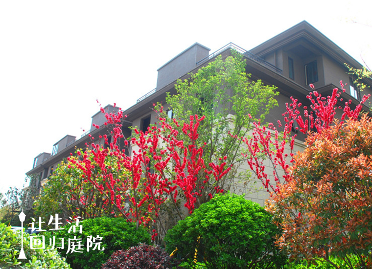 前后张望南阳50年：这样的天井，很难再有了！