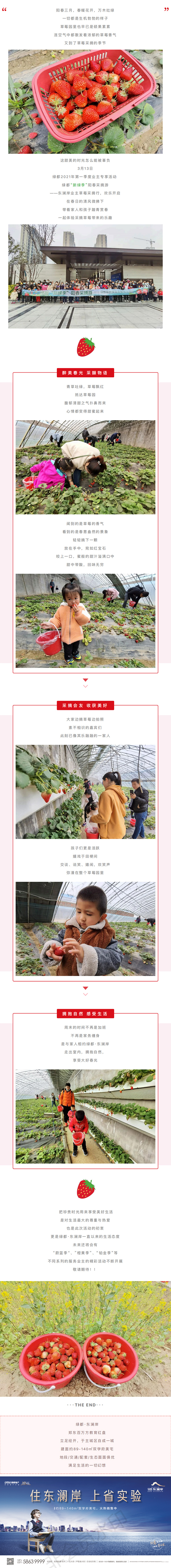 草莓采摘行|“莓”好同业，不负春日好时光