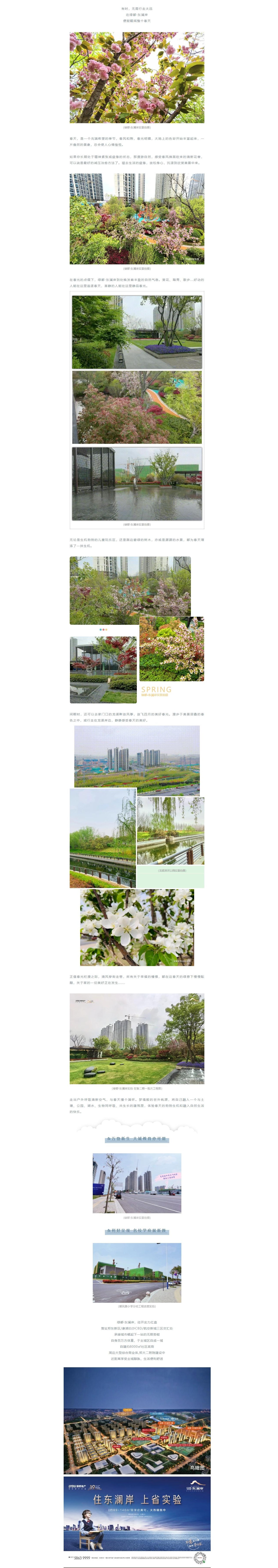 赏花踏青，来一场和春天的约会