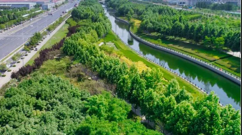 8#楼王加推在即 | 经开顶流热盘，这一次千万别错过！